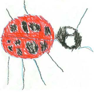 A ladybug