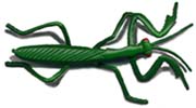 Toy Preying Mantis