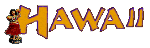 Mark and Stacy Go to Hawaii!