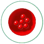Pancet, A Game