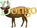 site logo